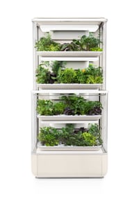 potager la grangette